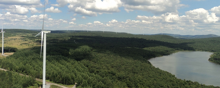 Exus Renewables North America