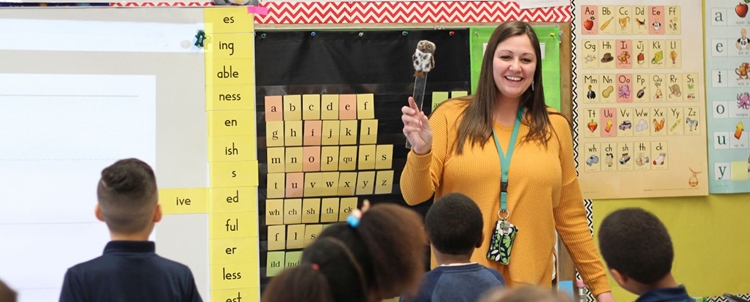 Wilson Language Training