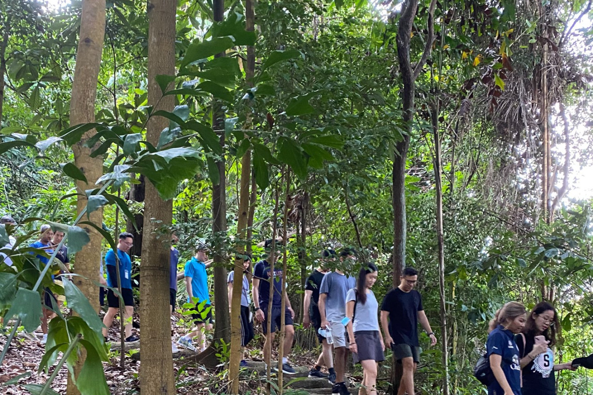 Singapore Wildspitz