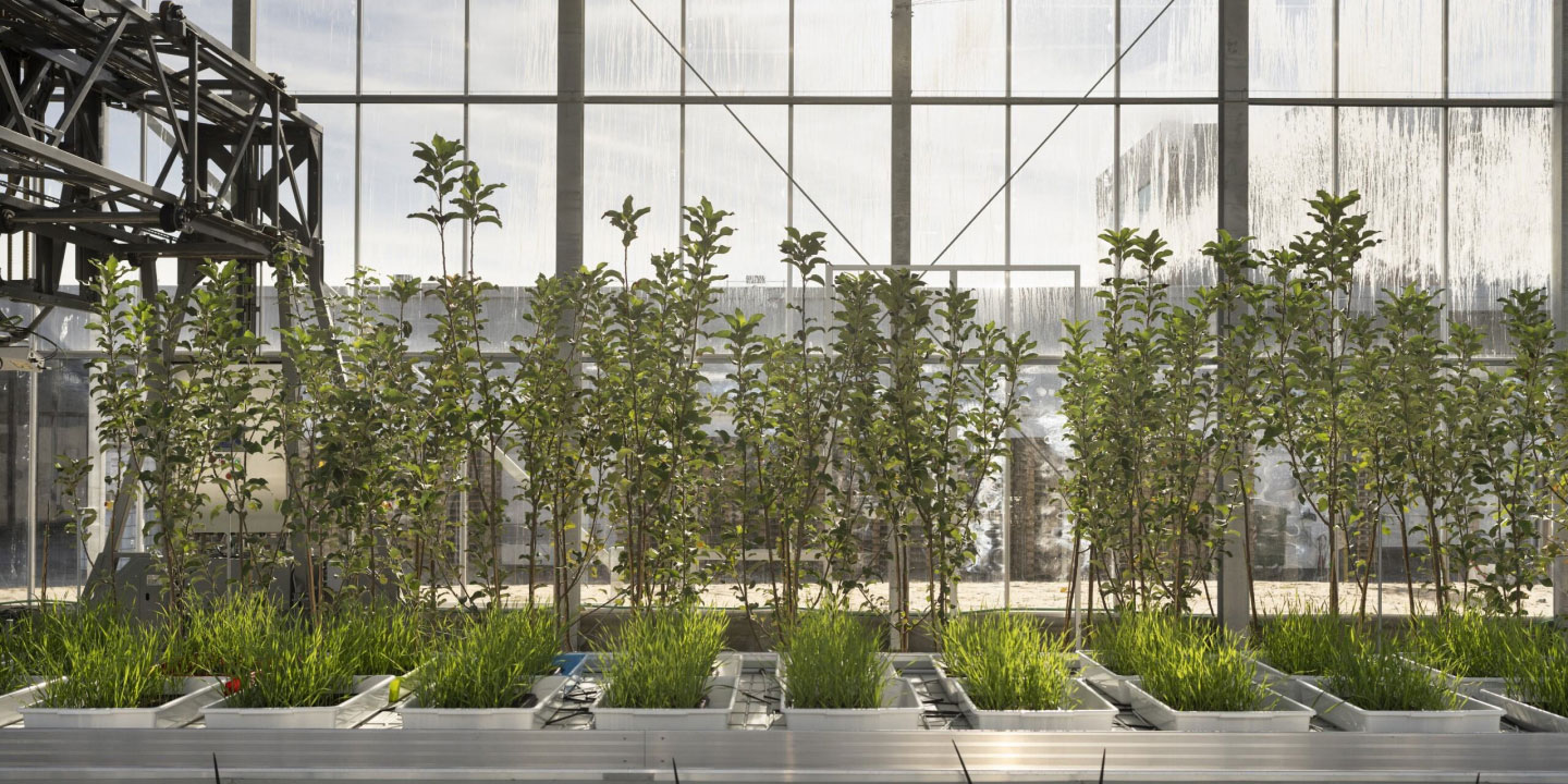 Green house