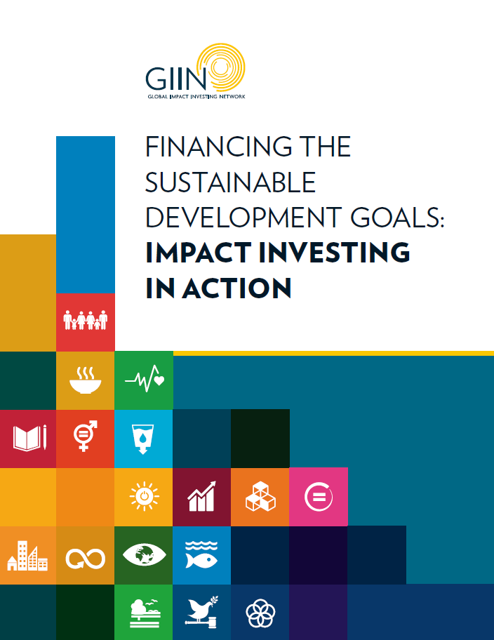 Financing the Sustainable Development Goals