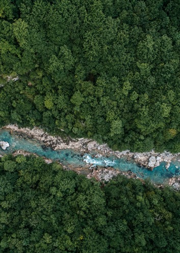 Partners Group commits to offsetting CO2 emissions from corporate air travel