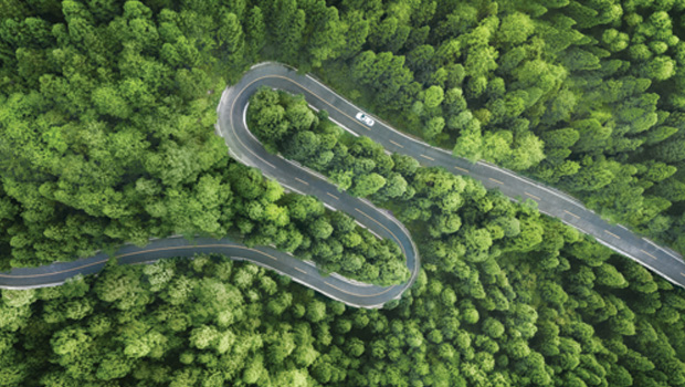 Bespoke Solutions: The Insurance Group