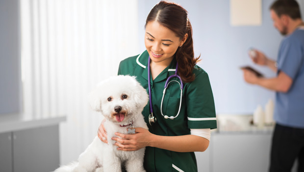 Blue River PetCare