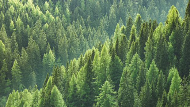 Sustainability-linked loans: A new engagement channel in private debt