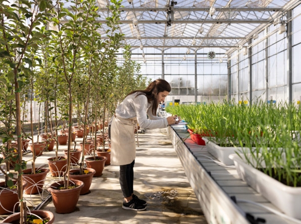 Green house