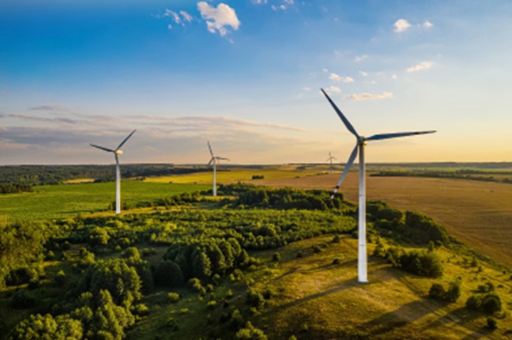 Windmill farm