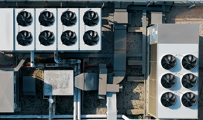 Lorem ipsum dolor sit amet consectetur.