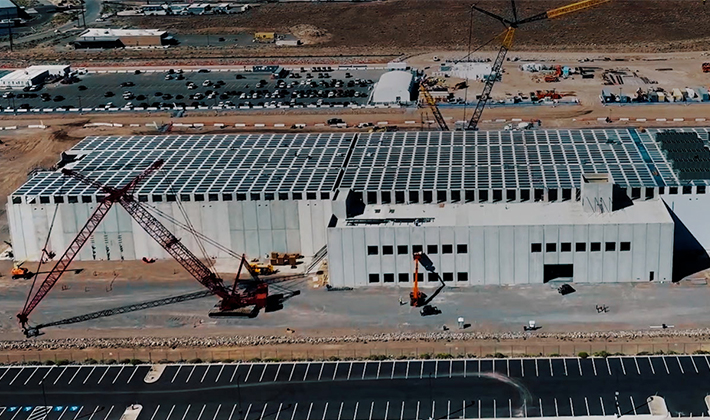 Lorem ipsum dolor sit amet consectetur.